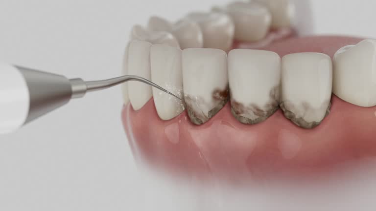 Reliable Dental contractor in Marine City, MI by Dentist Open Now